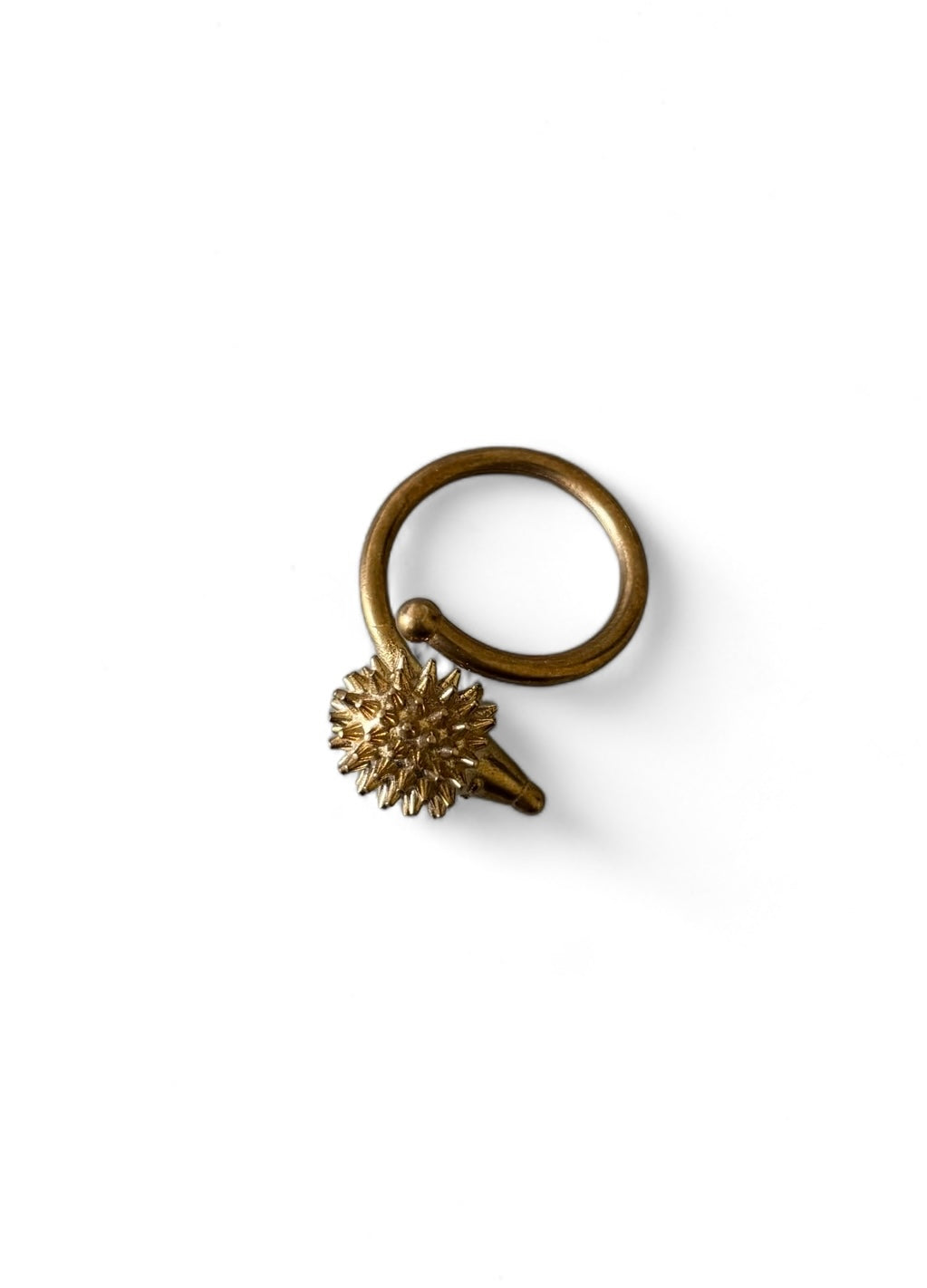 Anello Riccio