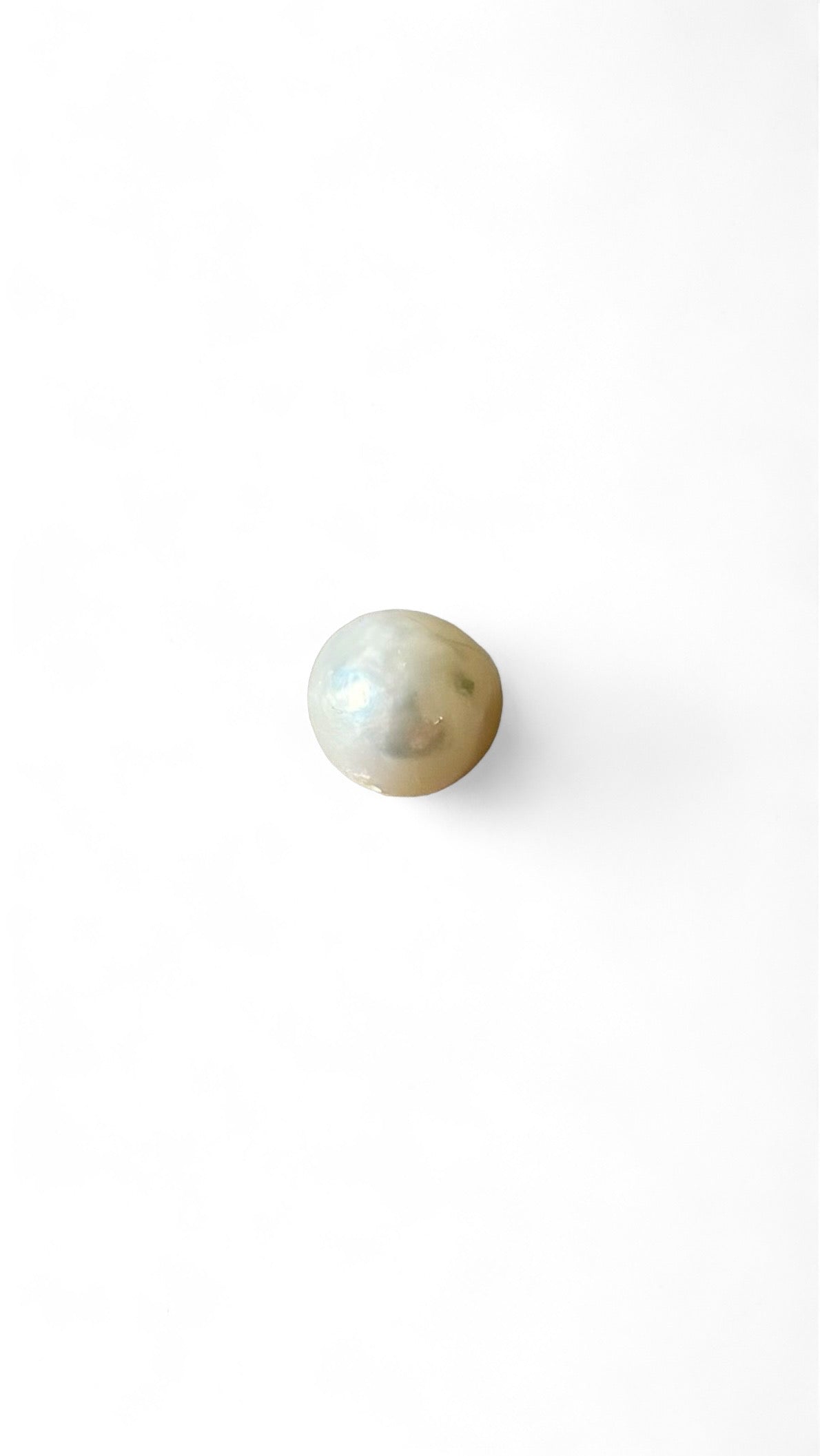 Foglie lunghe
