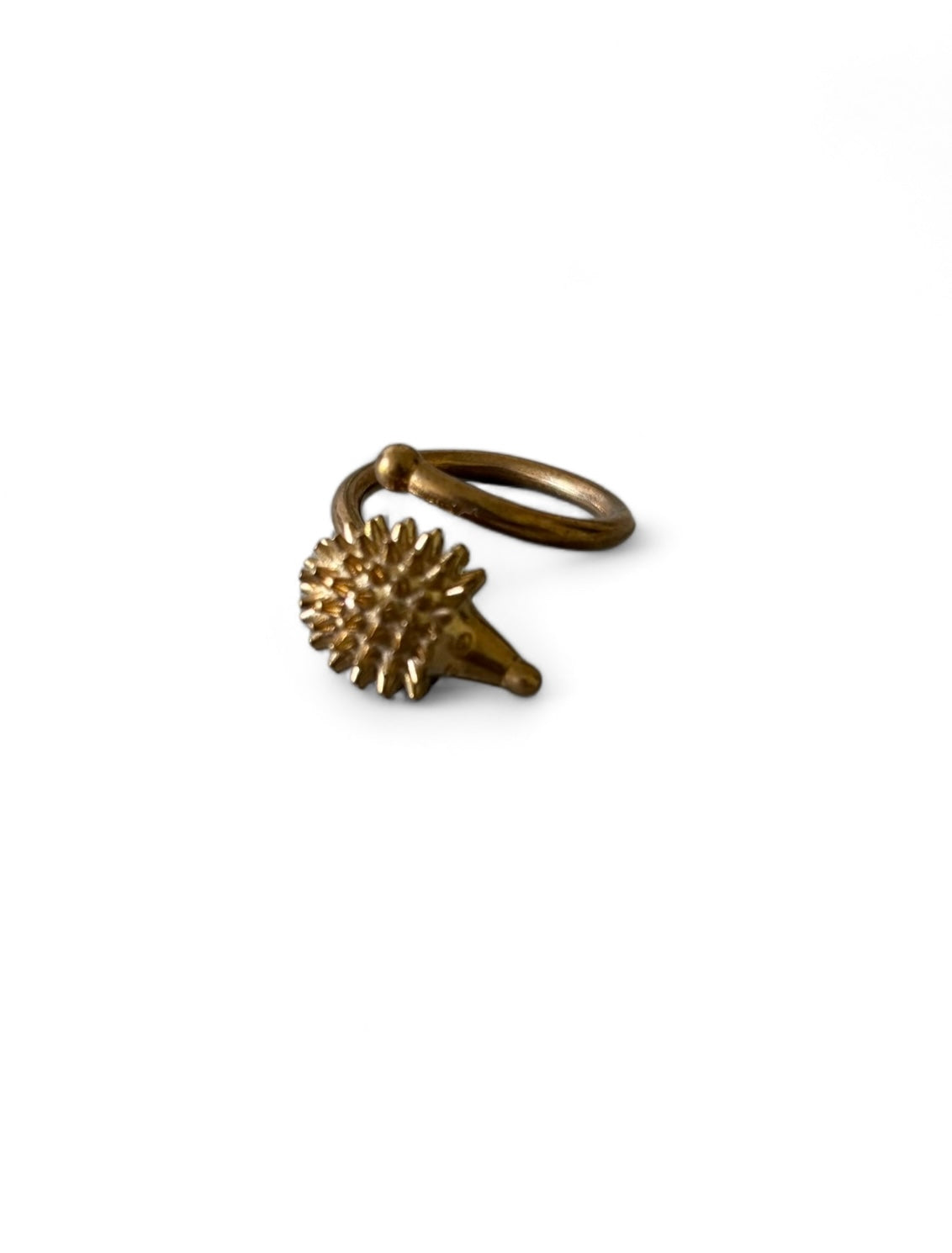 Anello Riccio